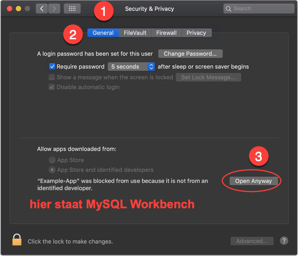 macOS MySQL Workbench Security-Privacy-General-Open-Anyway